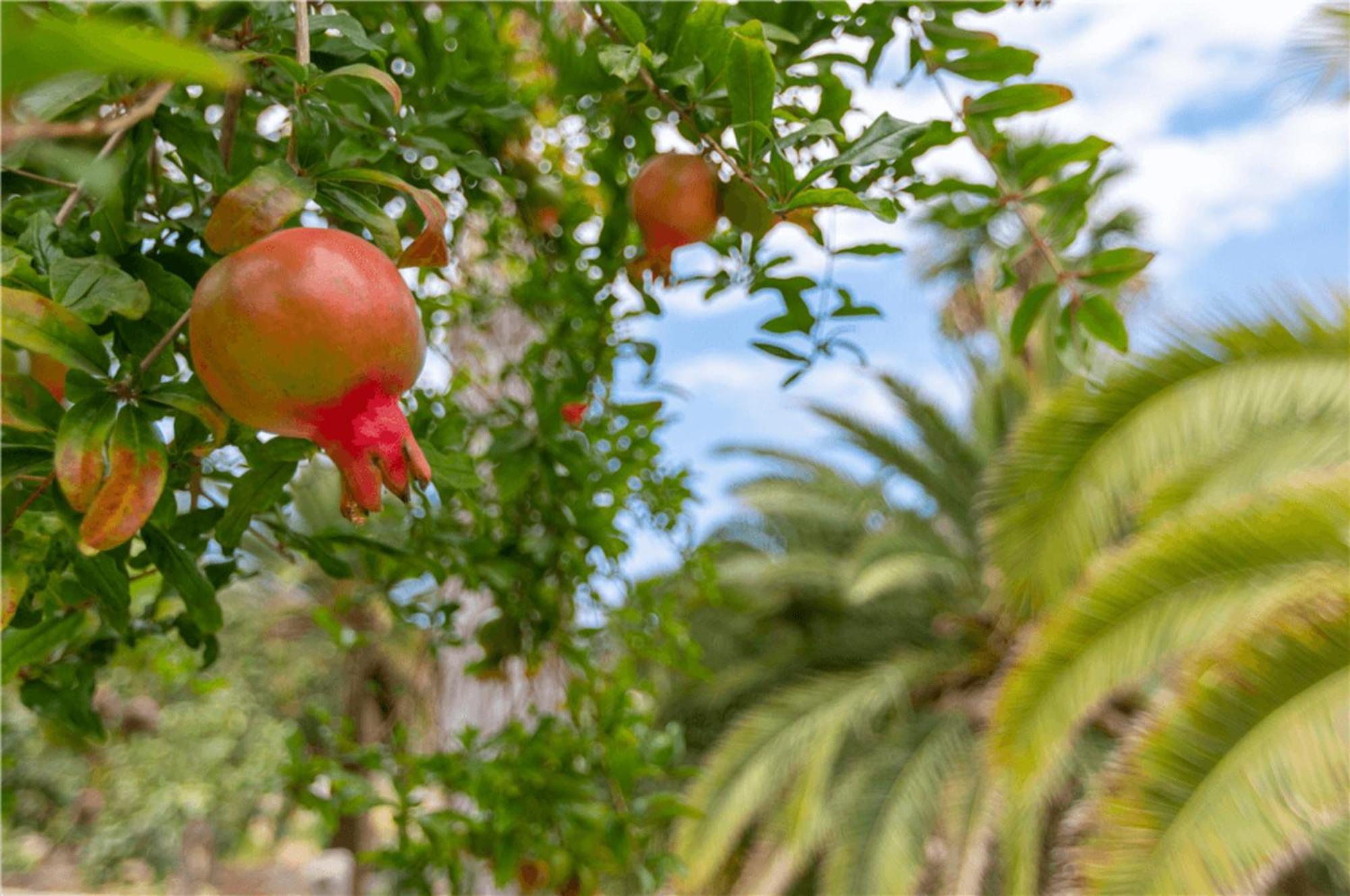 Paraiso Del Molinero Bajo Mogán Exterior foto